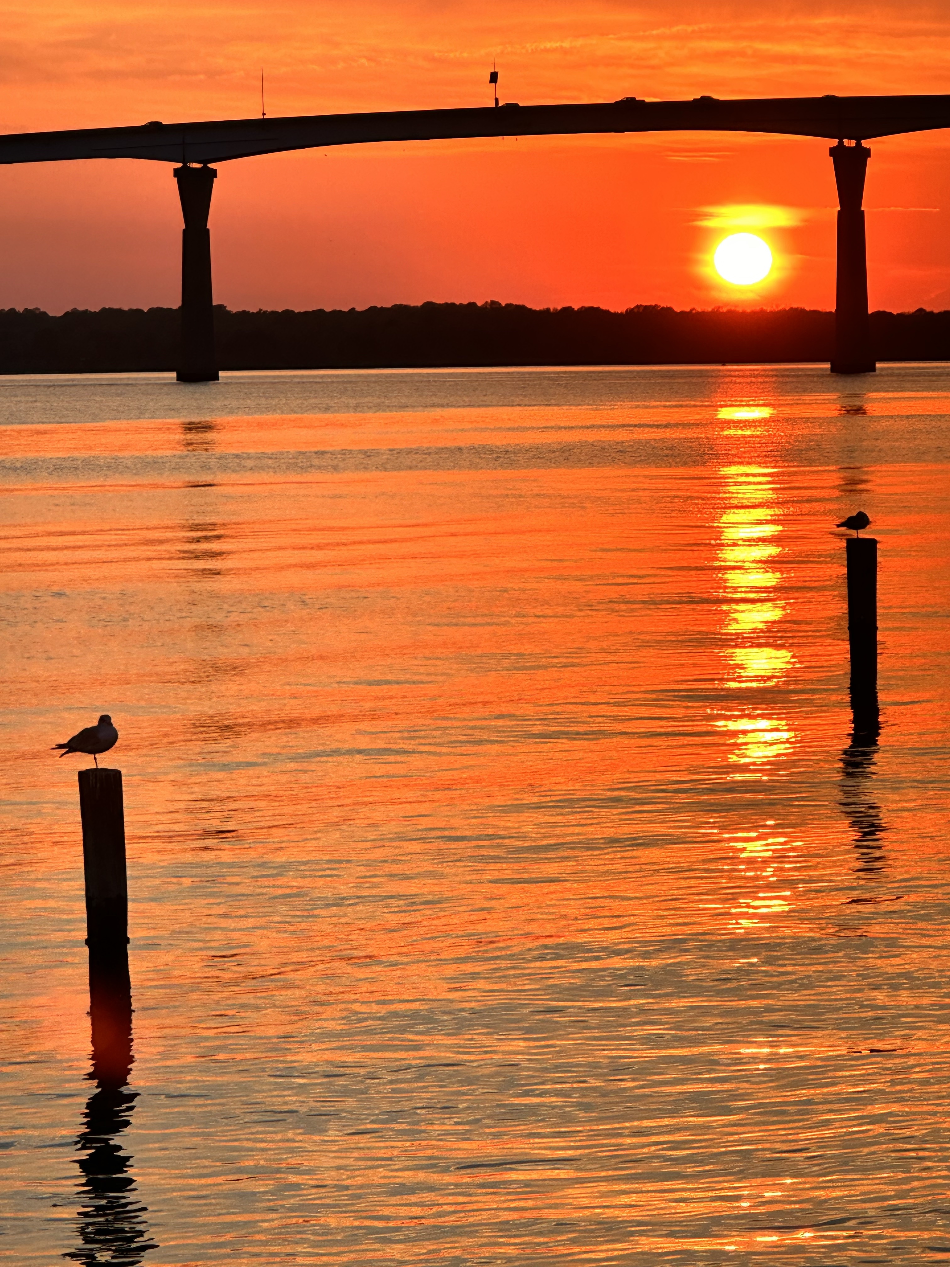 Boardwalk sunset!